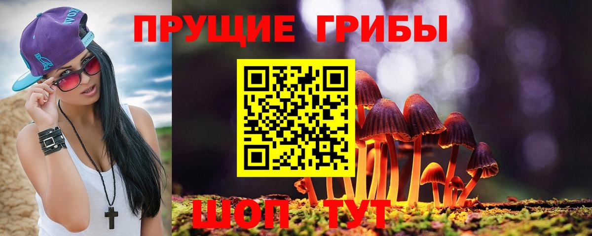 Ачхой-Мартан  Псилоцибиновые грибы мухоморы  Вход с VPN 